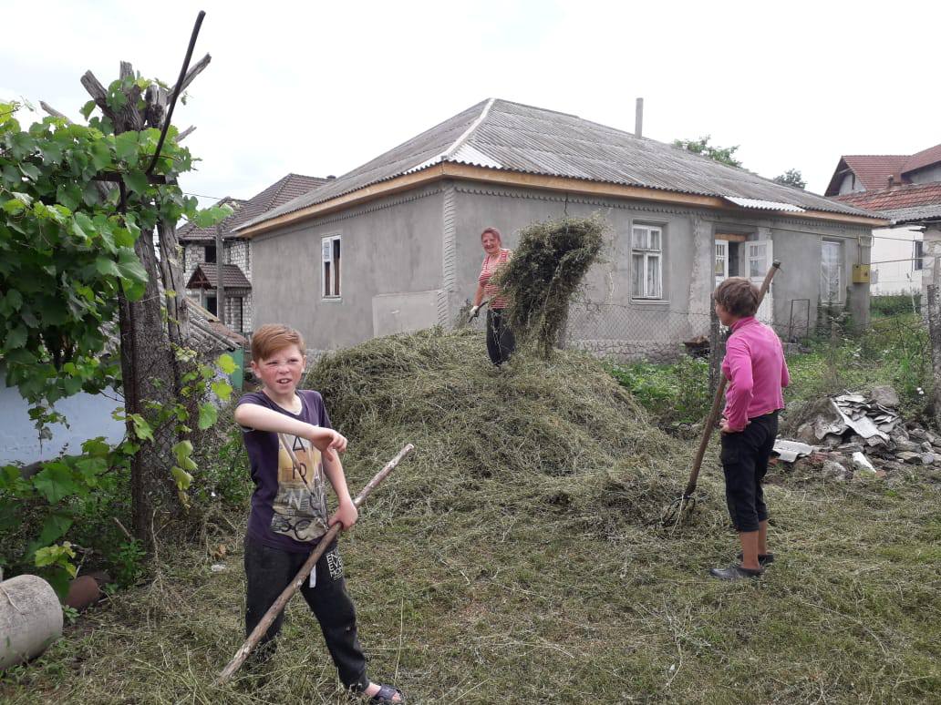 Прошу финансовой помощи