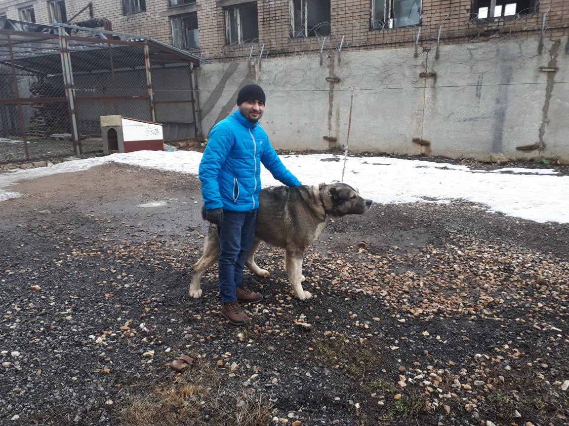 Мечтаю о гражданстве РФ