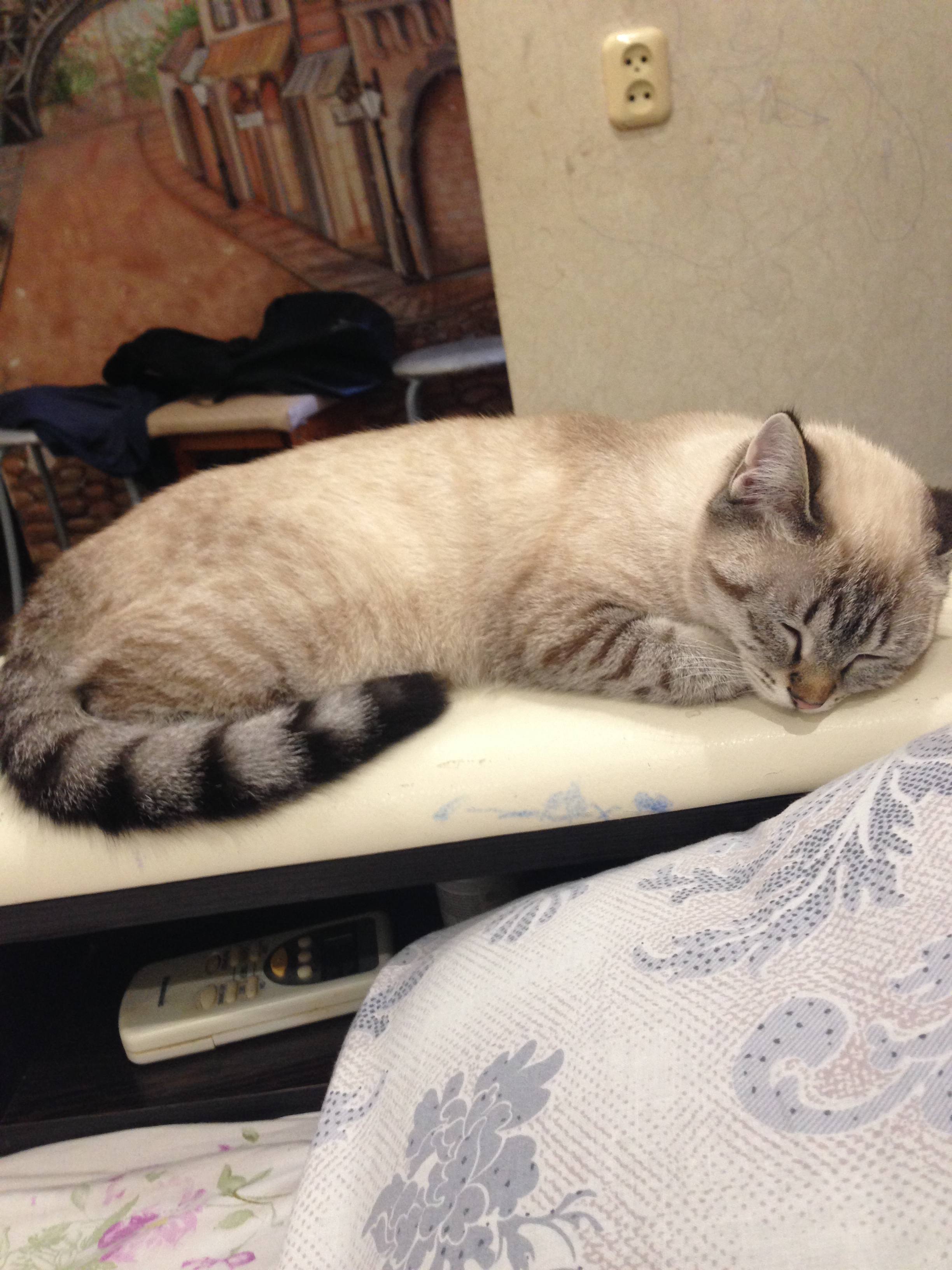 Мечтаю жить без долгов