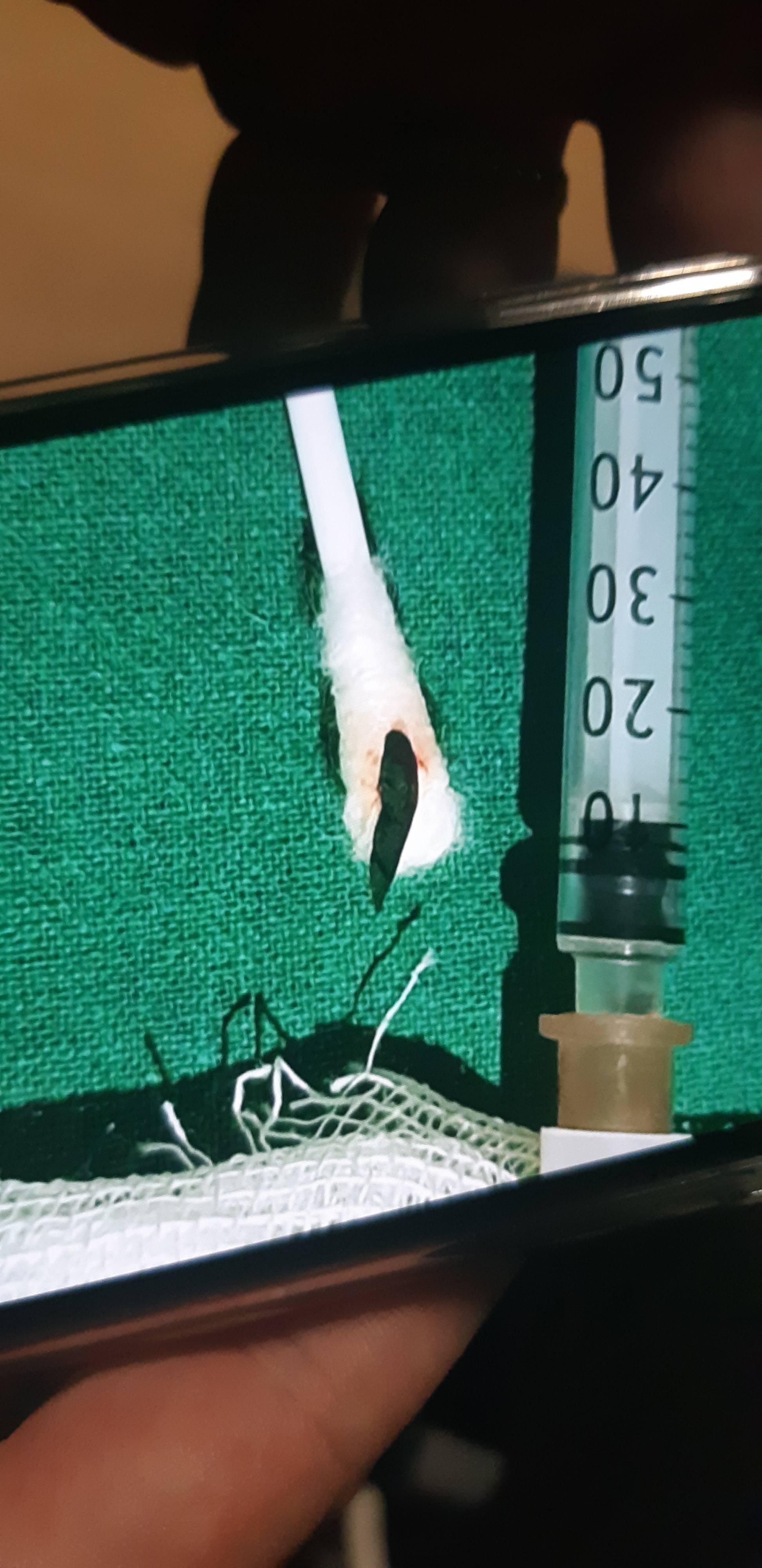 Мечтаю о лекарствах и заплатить за квартиру(снимаю