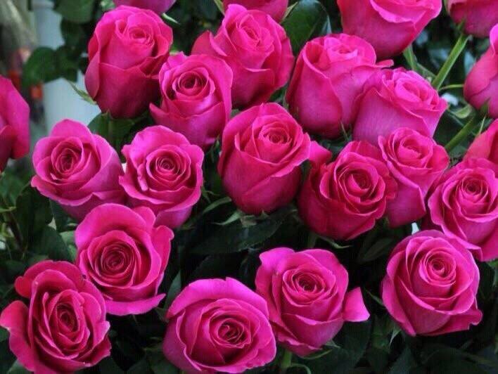 Нет денег на продукты