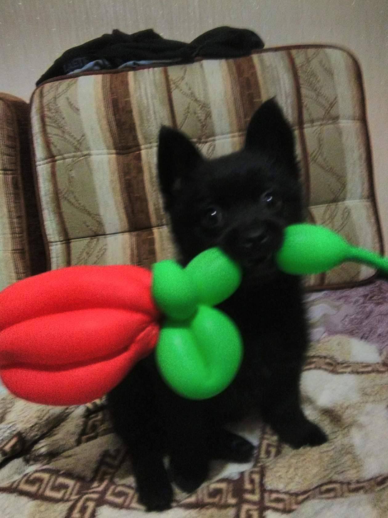 Нет денег на пропитание и кредит