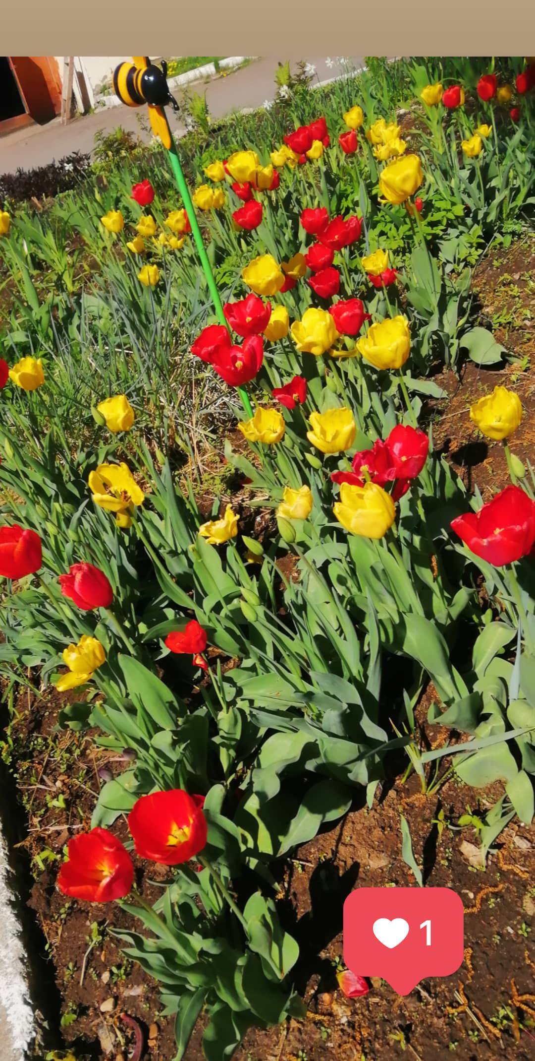 Я Верю в добро! :3