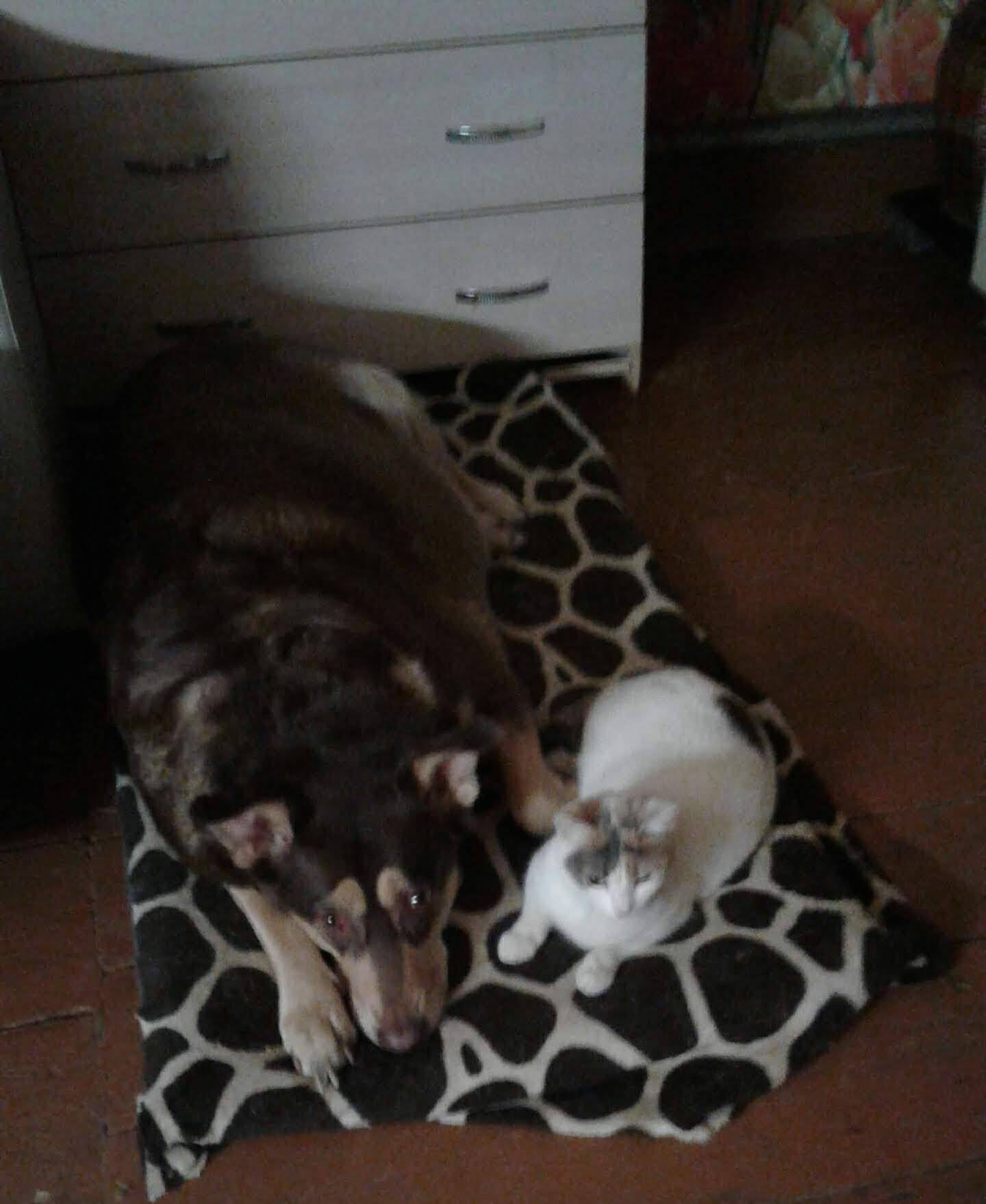 Помогите начать выбираться из чёрной полосы.