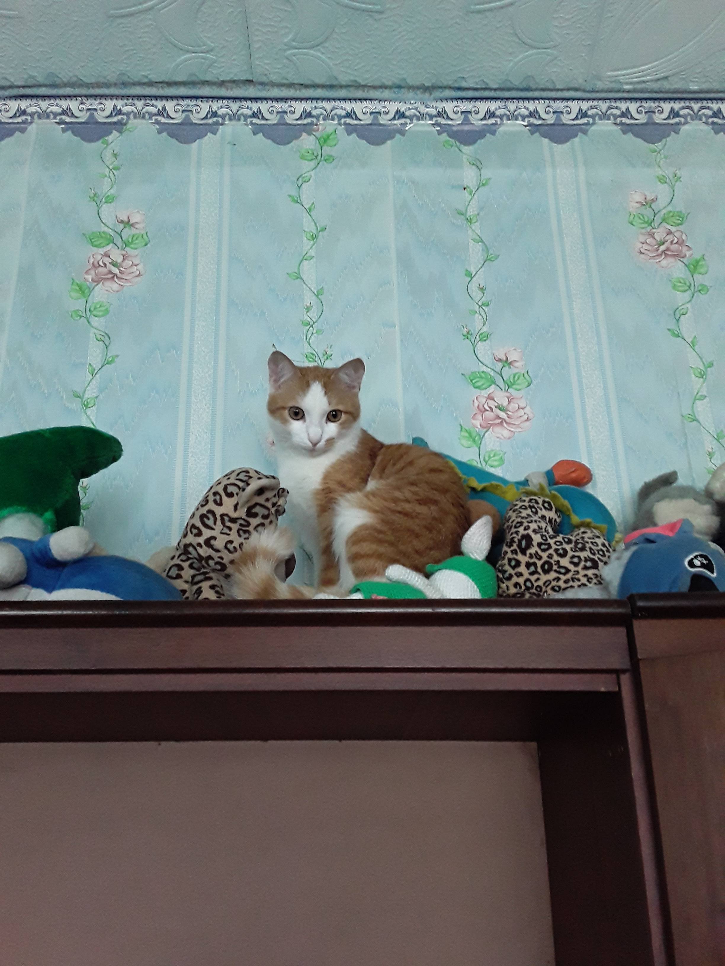 Прошу о помощи.