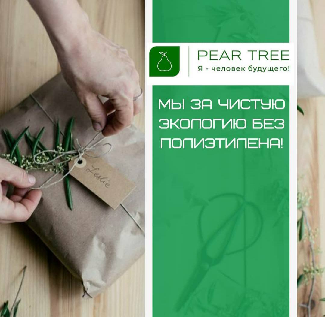 Помогите в развитии проекта pear tree - я человек