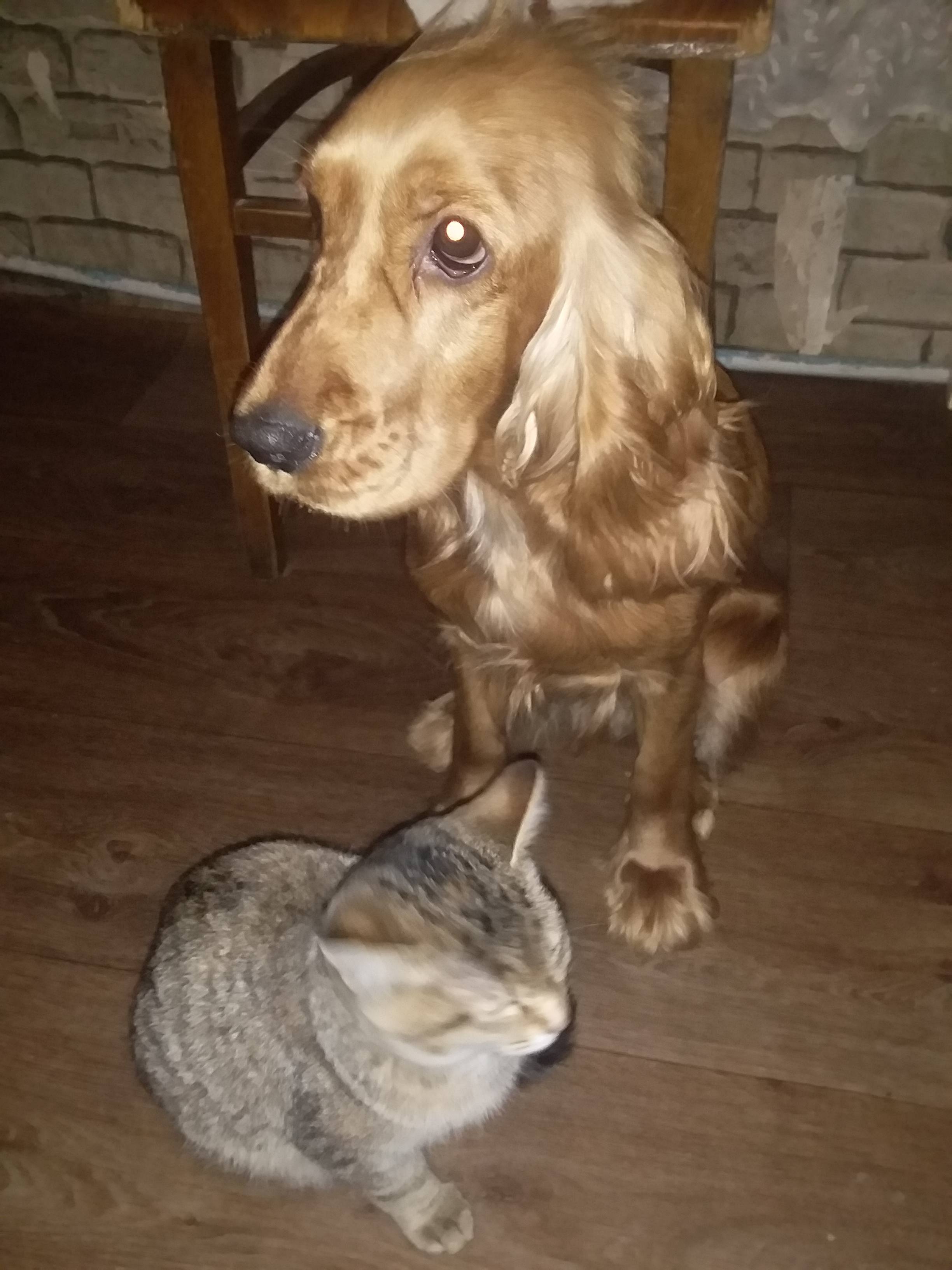 Нет работи все закрито иза ковита19  даже новы год