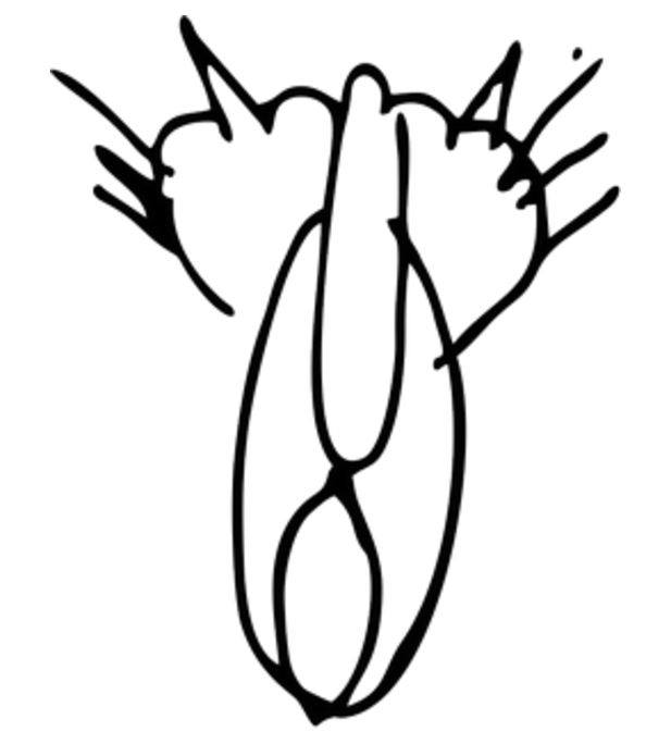 Ни о чём не мечтаю.