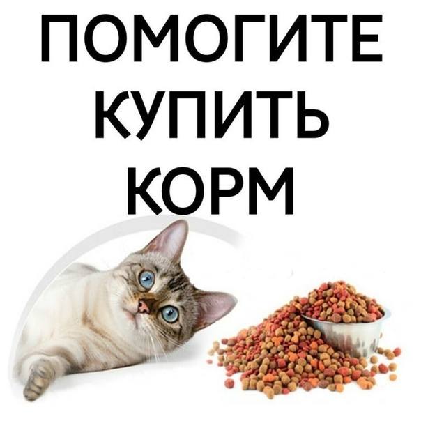 🆘Помогите пакетиком корма🆘