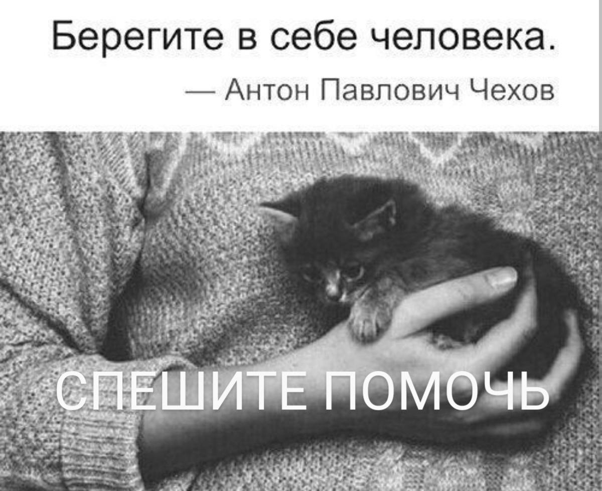 Вы уже позавтракали?! А мы-нет🥺🐾