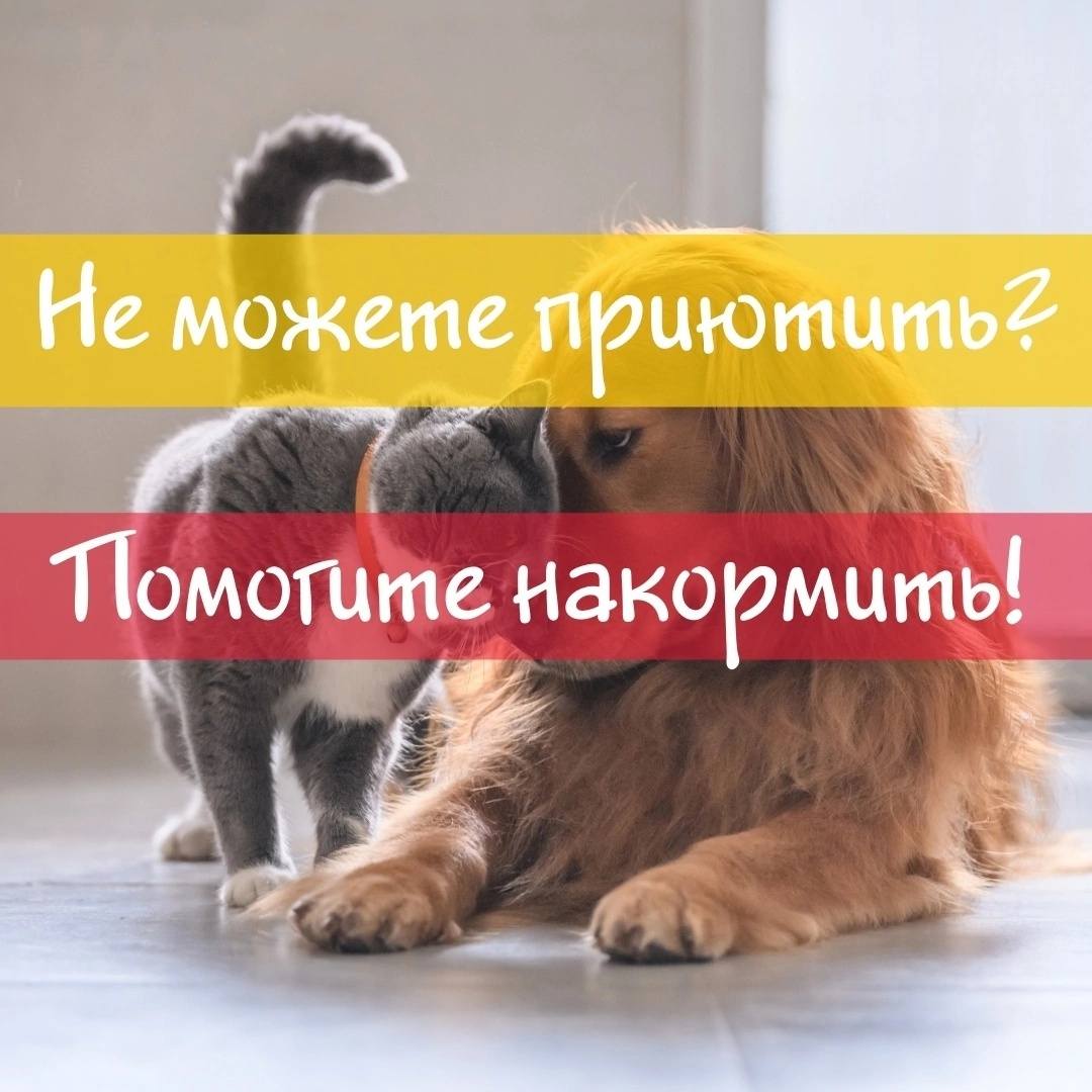 Крик души😺🙏🆘