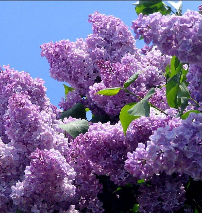 Прочитайте меня. Пожалуйста, помогите....🙏🙏🙏🙏🙏