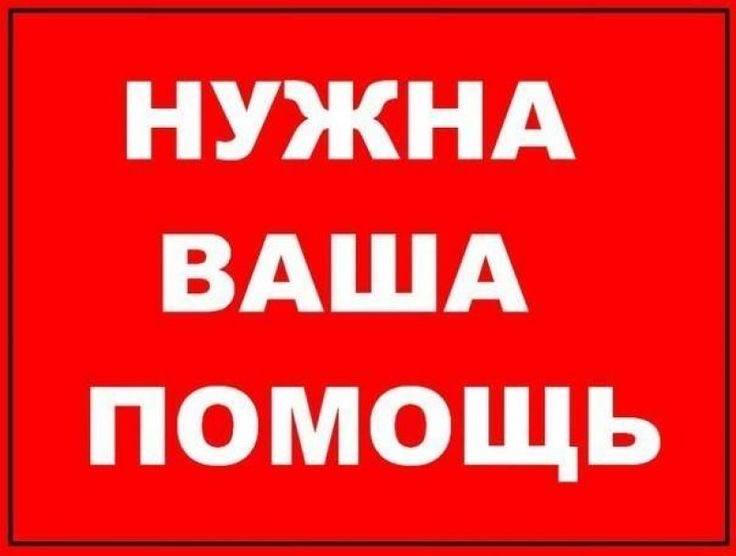 Мечтаю поступить в вуз