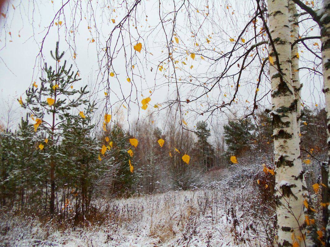 ✍️Я остаюсь на сайте🫶Прошу помощи🙏Поддержи🧡