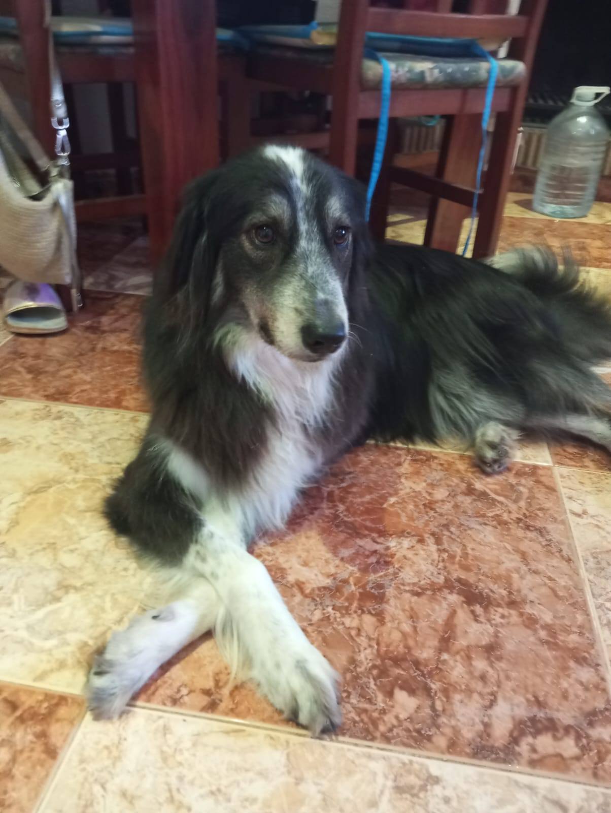 Мечтаю рассчитаться с долгами.