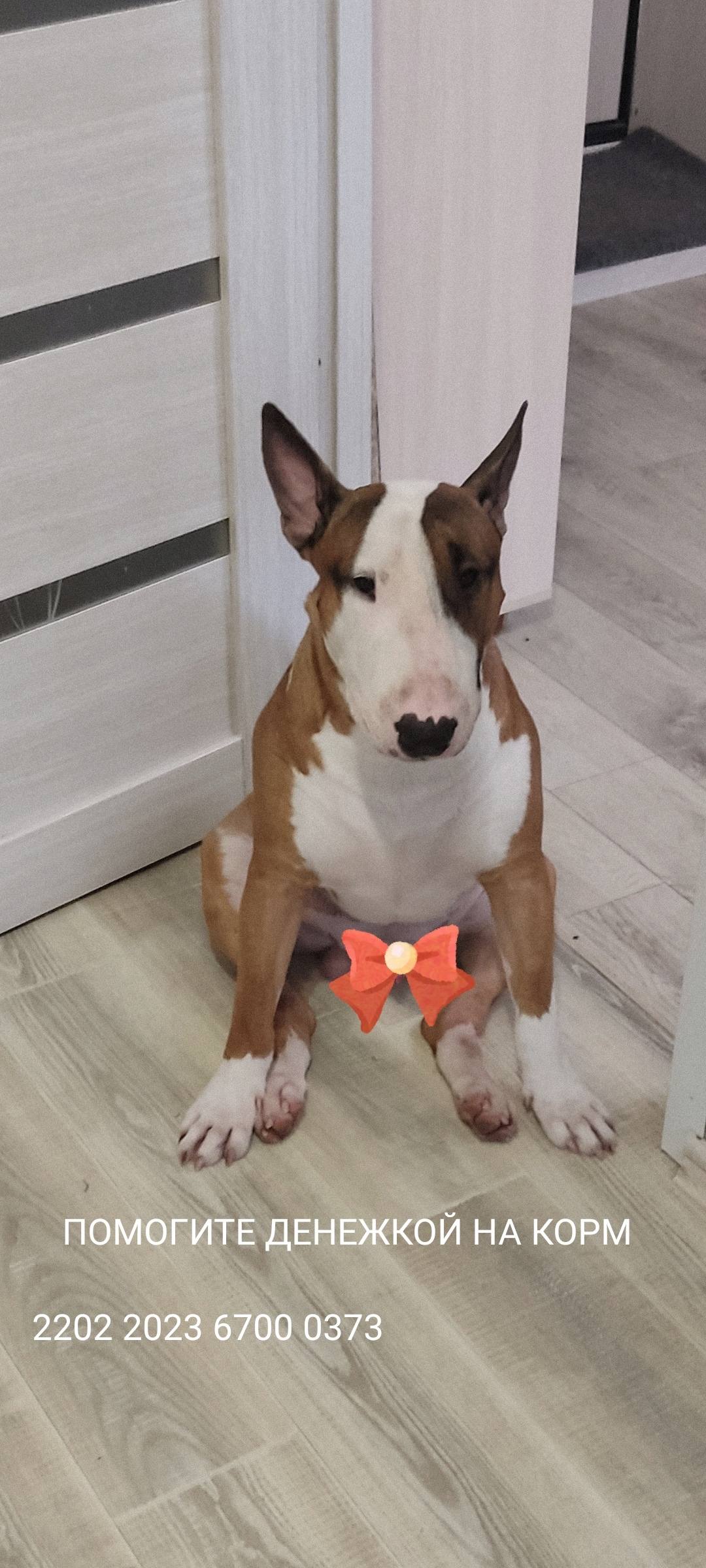 Нужна помощь