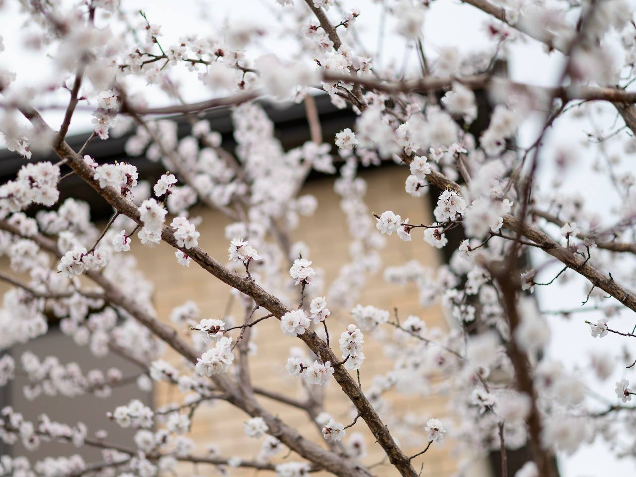 Мечтаю закрыть кредиты (3 пост)