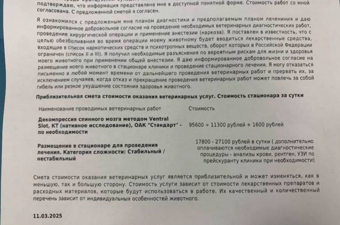 Нужны деньги на лечение четвероногого друга