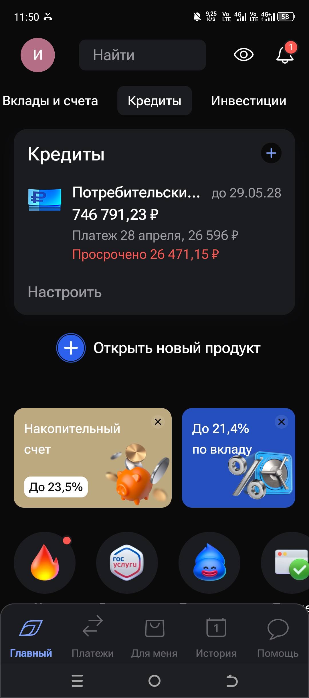 Хочу вылезти из долговой ямы