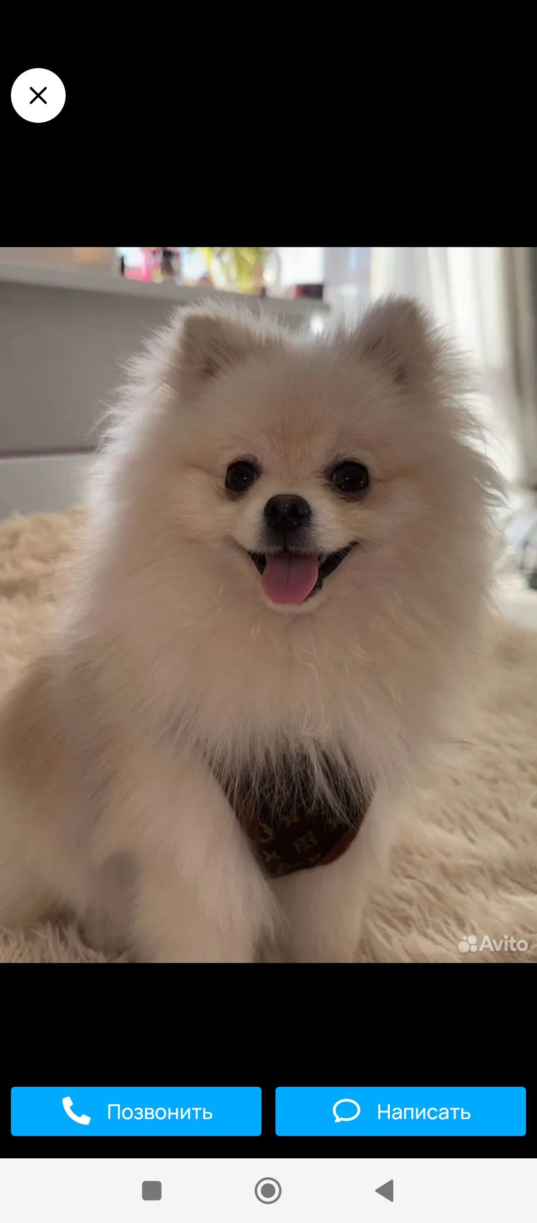 Собачка для неговорящих детей 💓