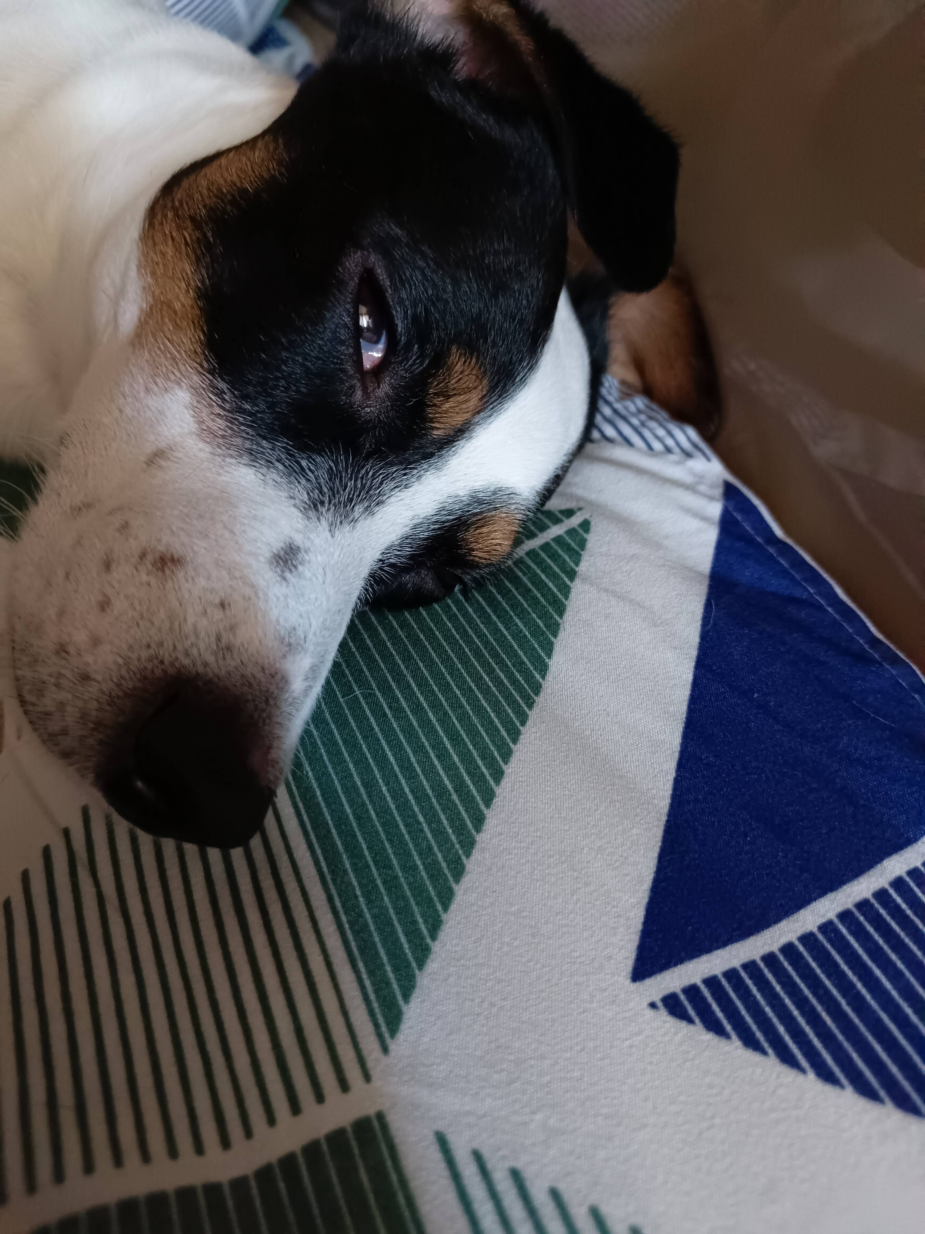 Теперь я мечтаю жить без кредитов и микрозаймов