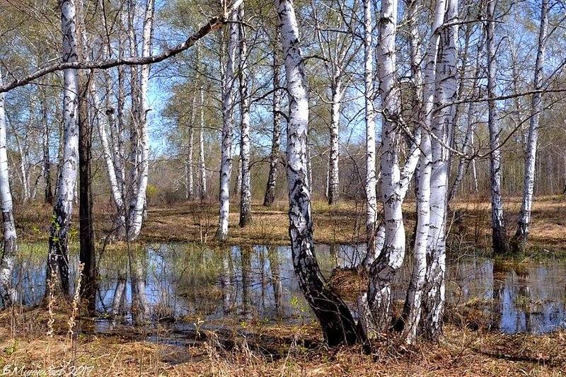 Помогите пожалуйста🫶.... Будьте добрее  с теми кто слаб🙏🙏🙏🙏