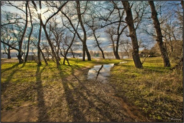 Помогите, пожалуйста🙏🙏🙏🙏🙏Будьте добрее с теми, кто слаб.🫶
