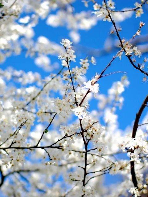 Пожалуйста помогите🙏,если у вас есть на это время