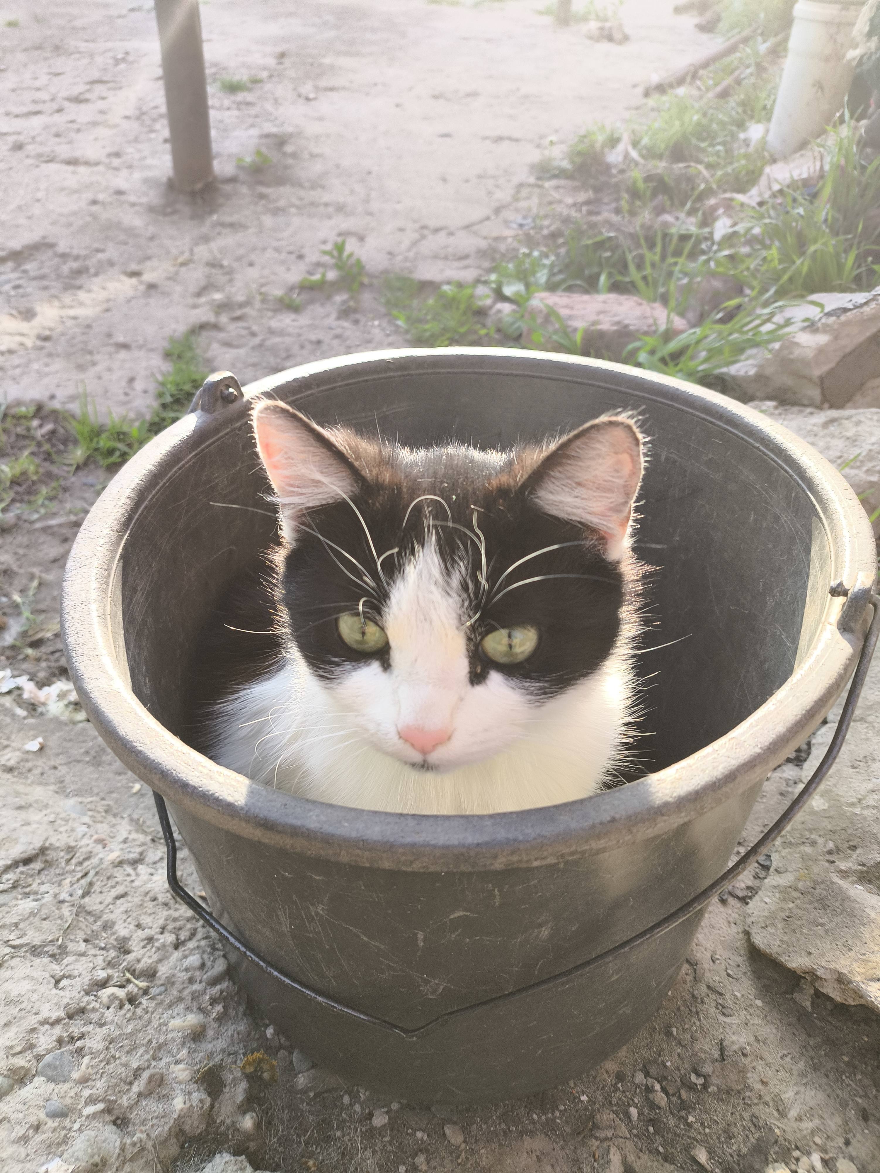 Мечтаю похмелиться не хватает