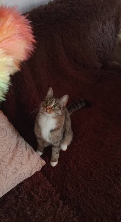 Нужна новая крыша