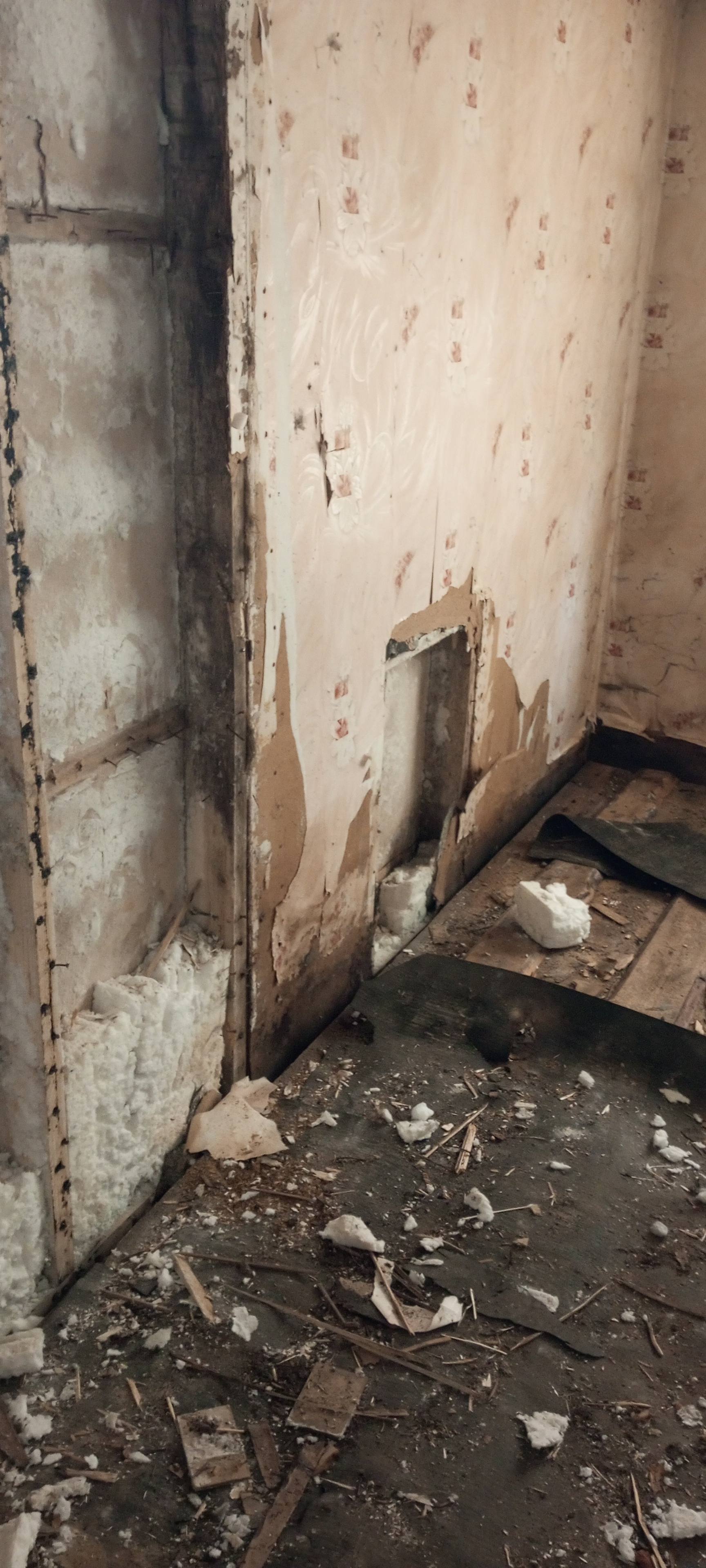 Мечтаю сделать ремонт в доме матери.