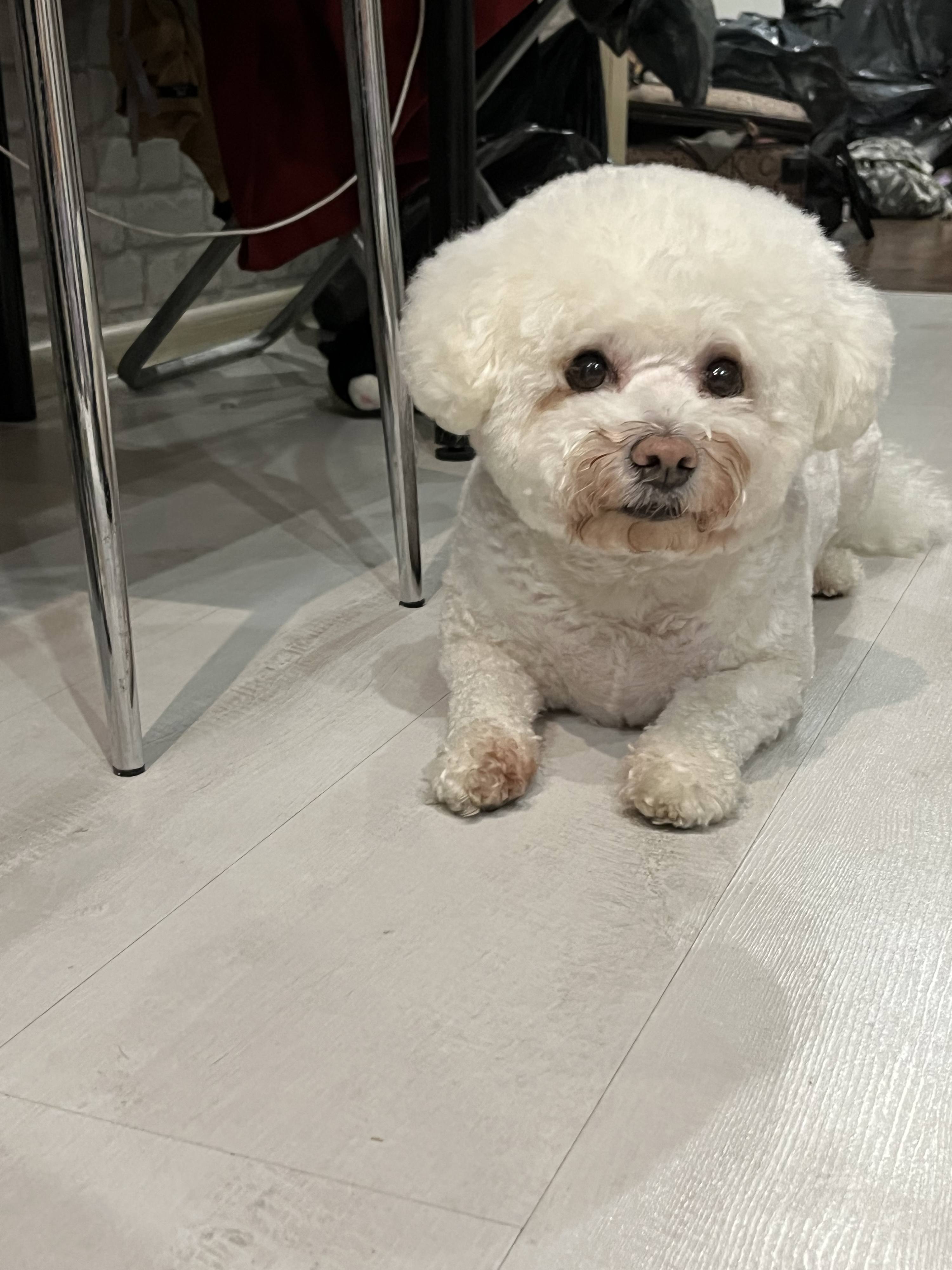 Мечтаю жить свободно