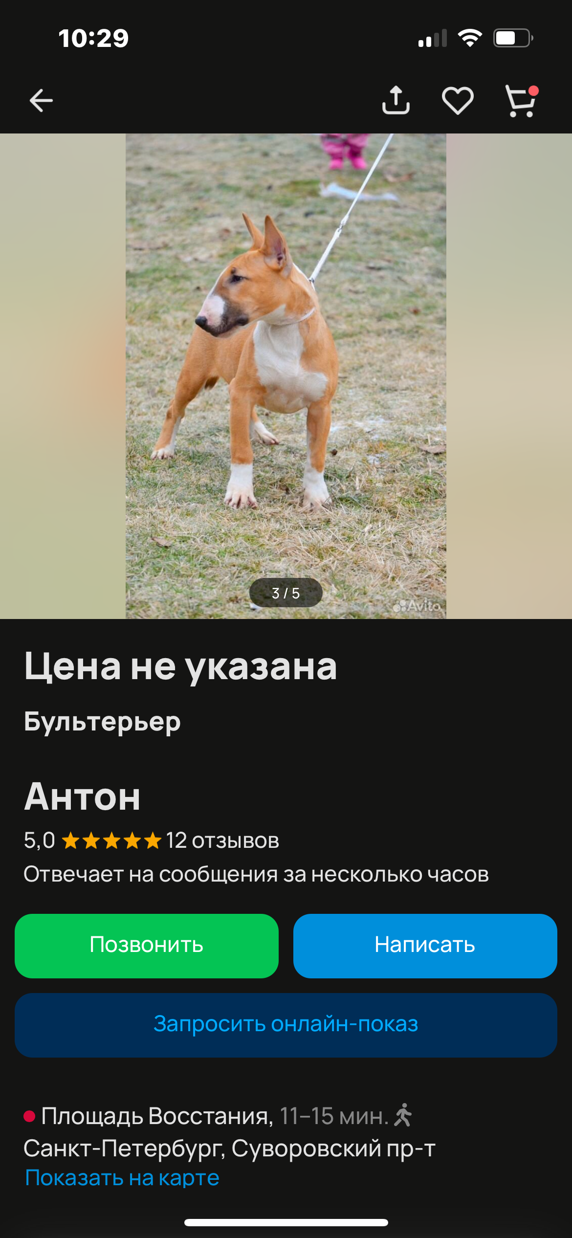 Мечтаю о собаке всю жизнь