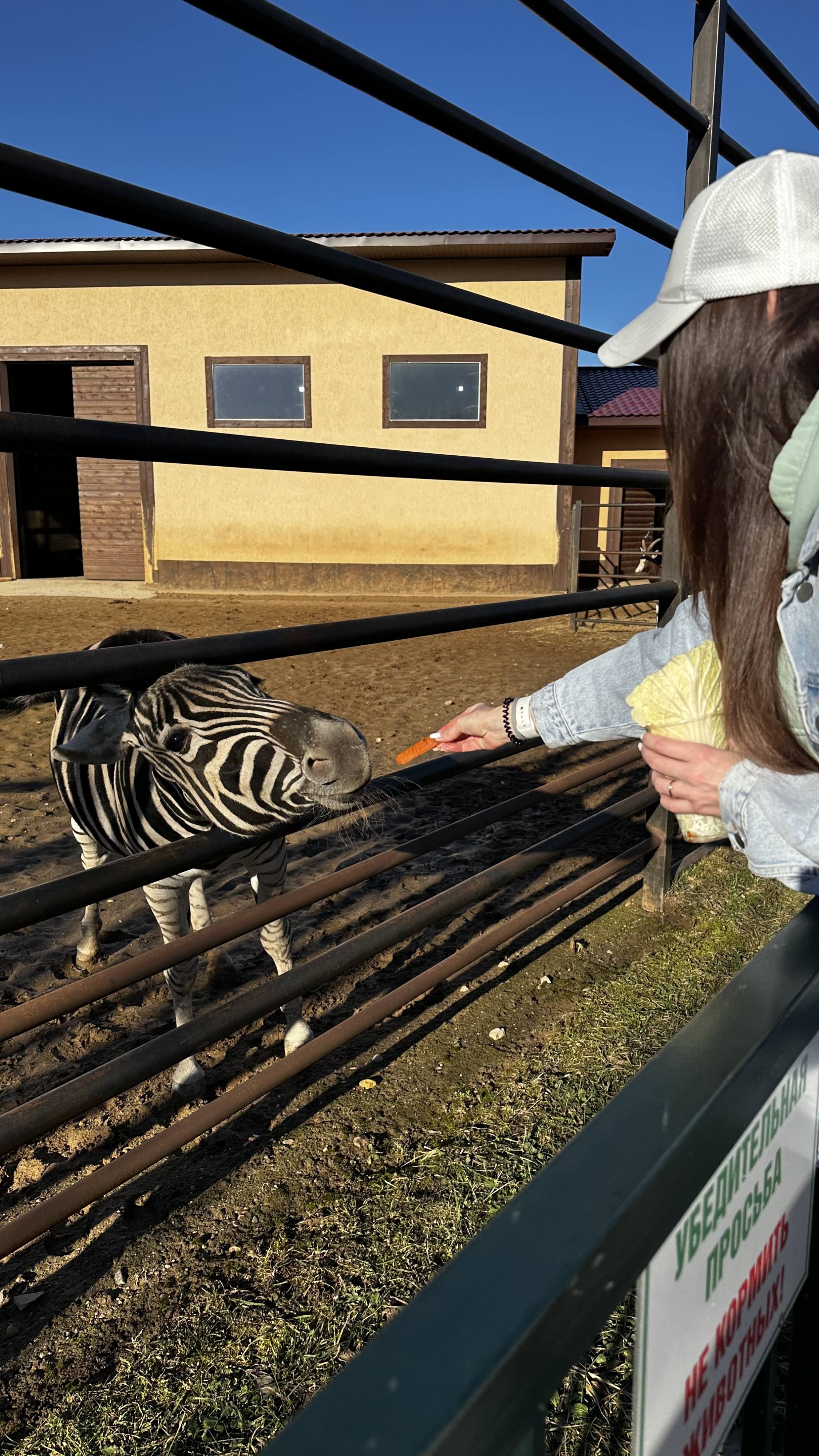 Нужна помощь