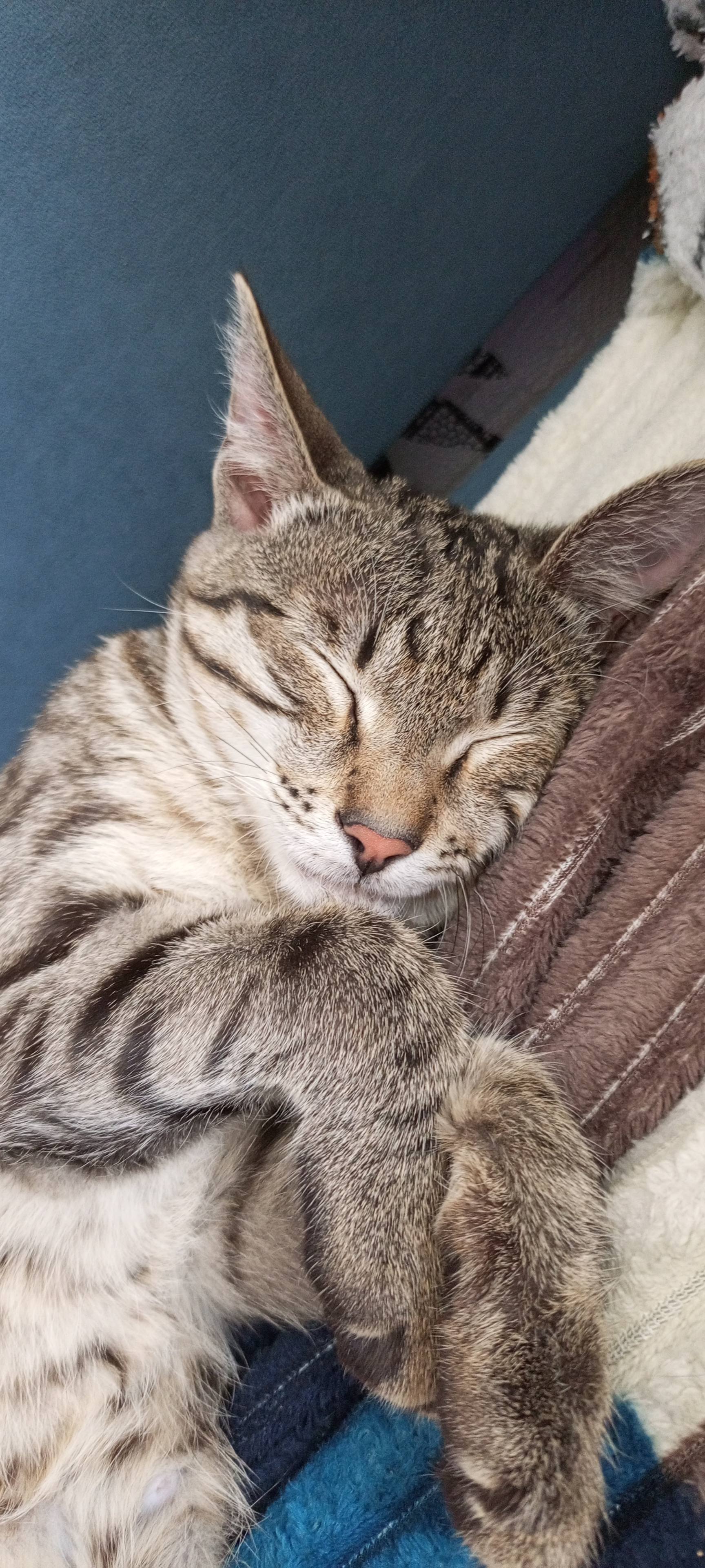 Мечтаю снять хорошую квартиру