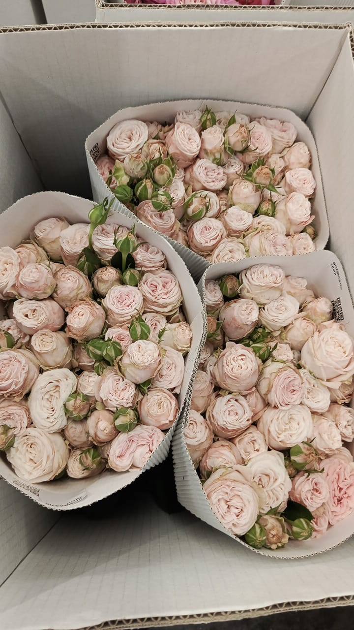 Осталось резко без работы