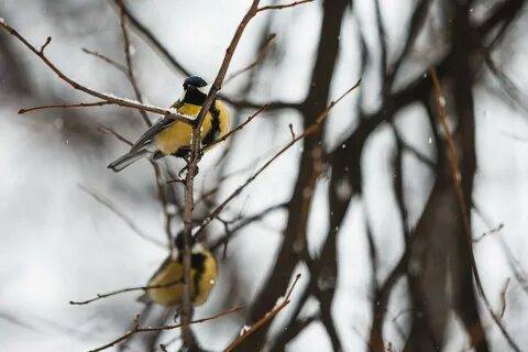 Я очень надеюсь,что у вас есть время чтобы помочь🙏🙏🙏🙏🙏