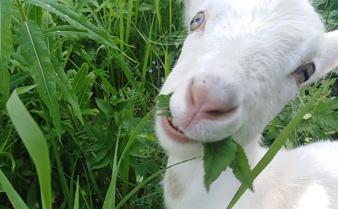 Сложная жизнь