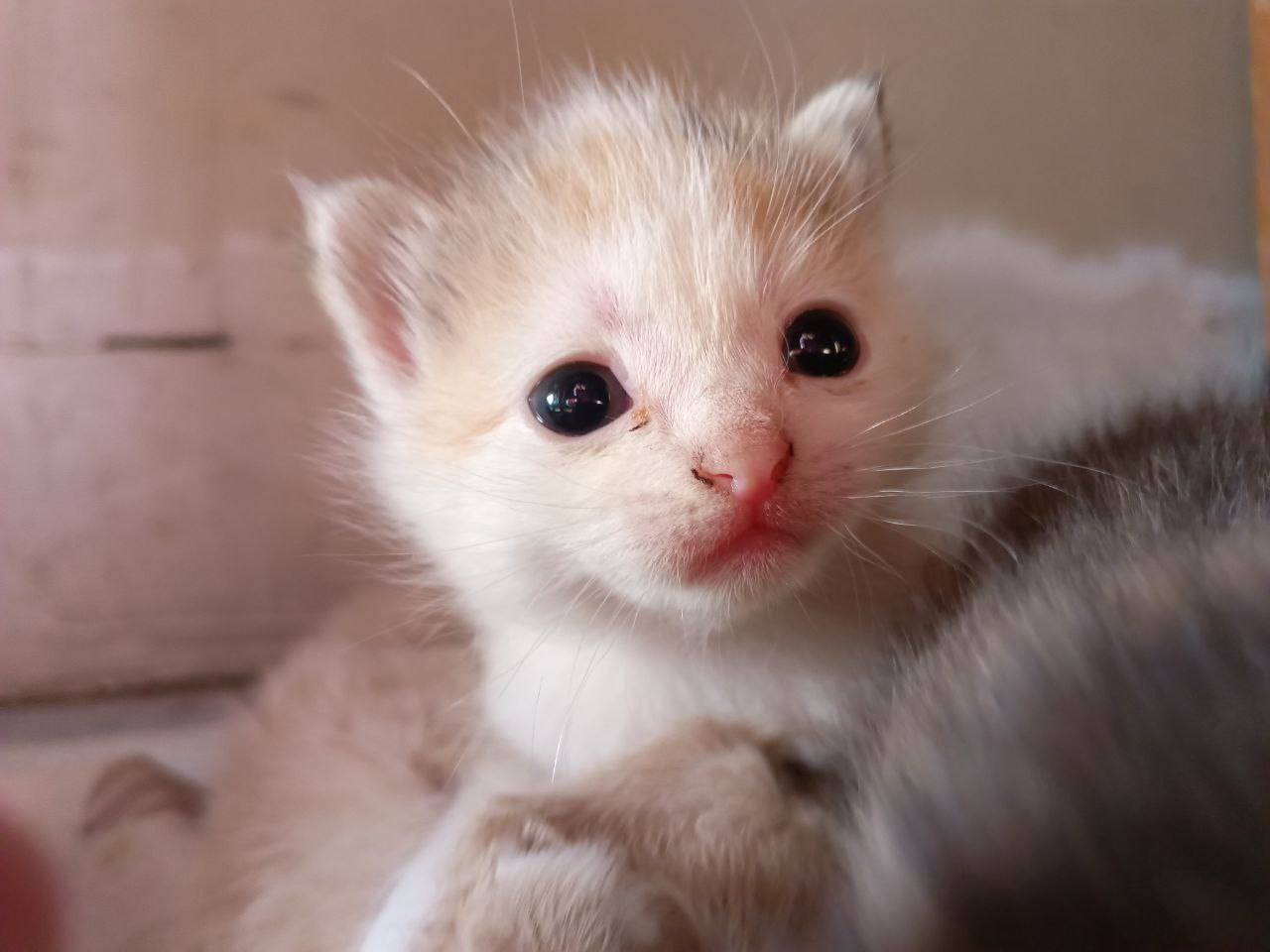 мечтаю наконец закончить с этой денежной рутиной