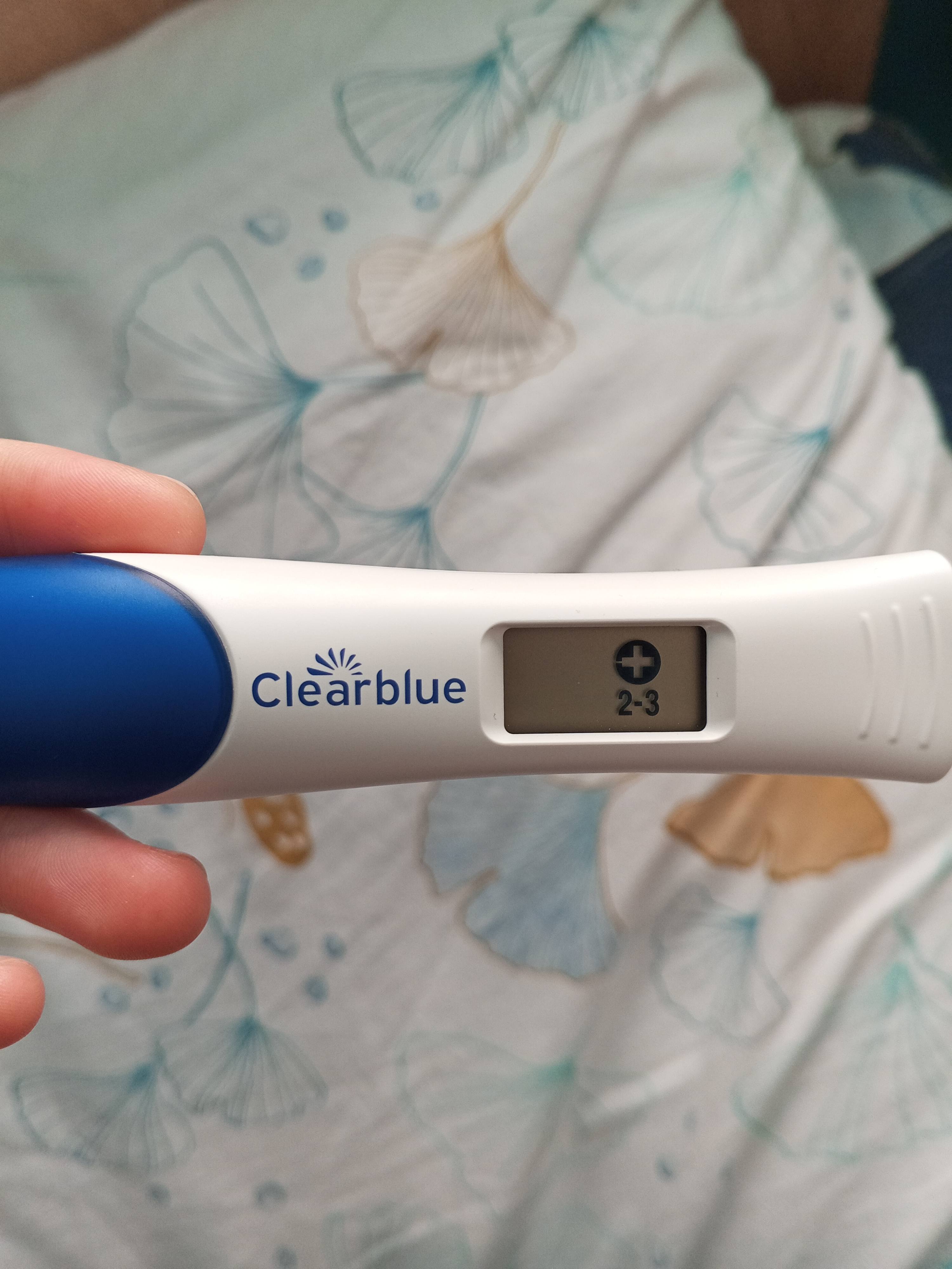 Ищу деньги, я беременна