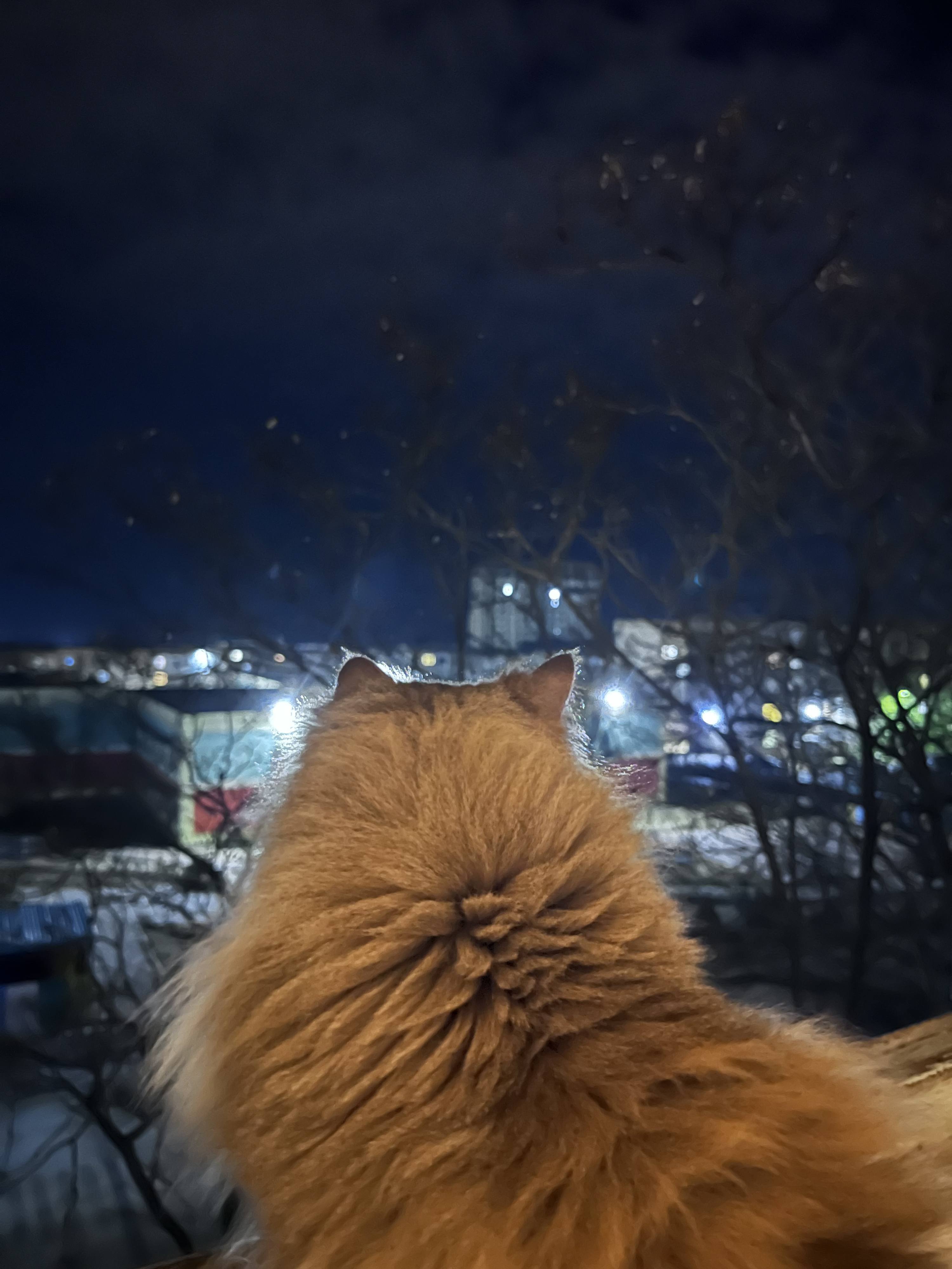 Очень надо погасить кредиты…