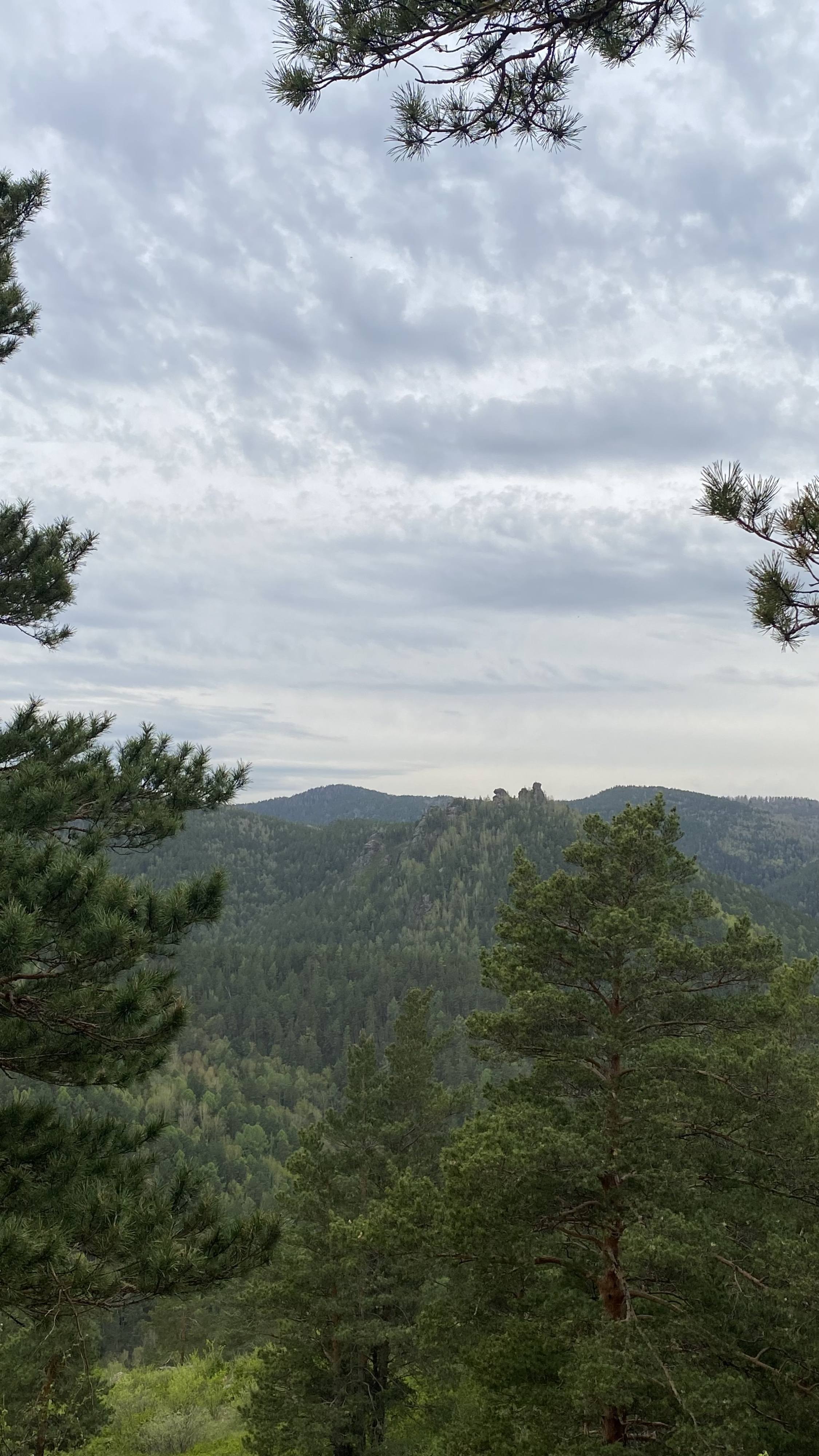 Мечтаю о палатке и спальнике