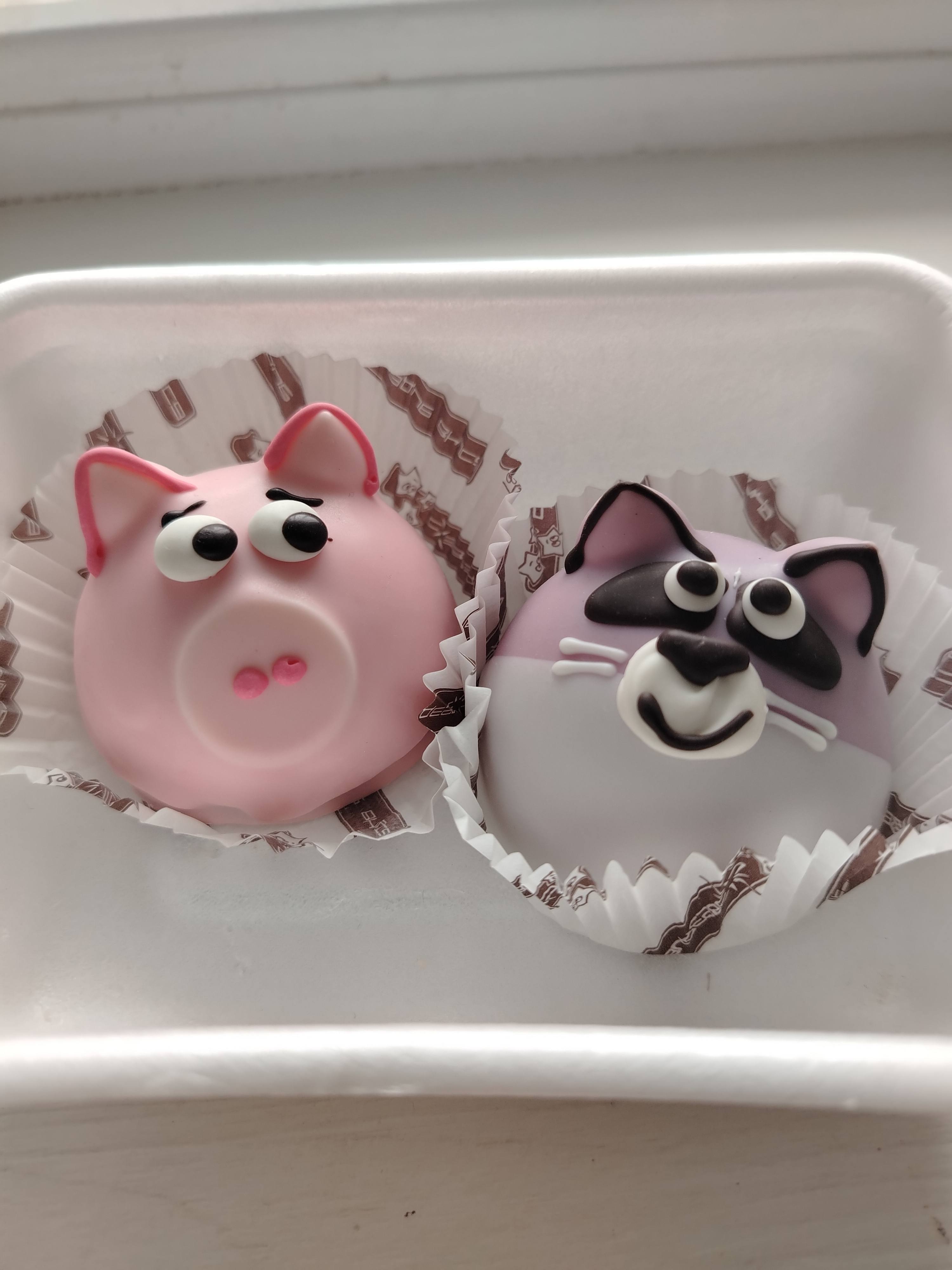 Очень нужна помощь материально.