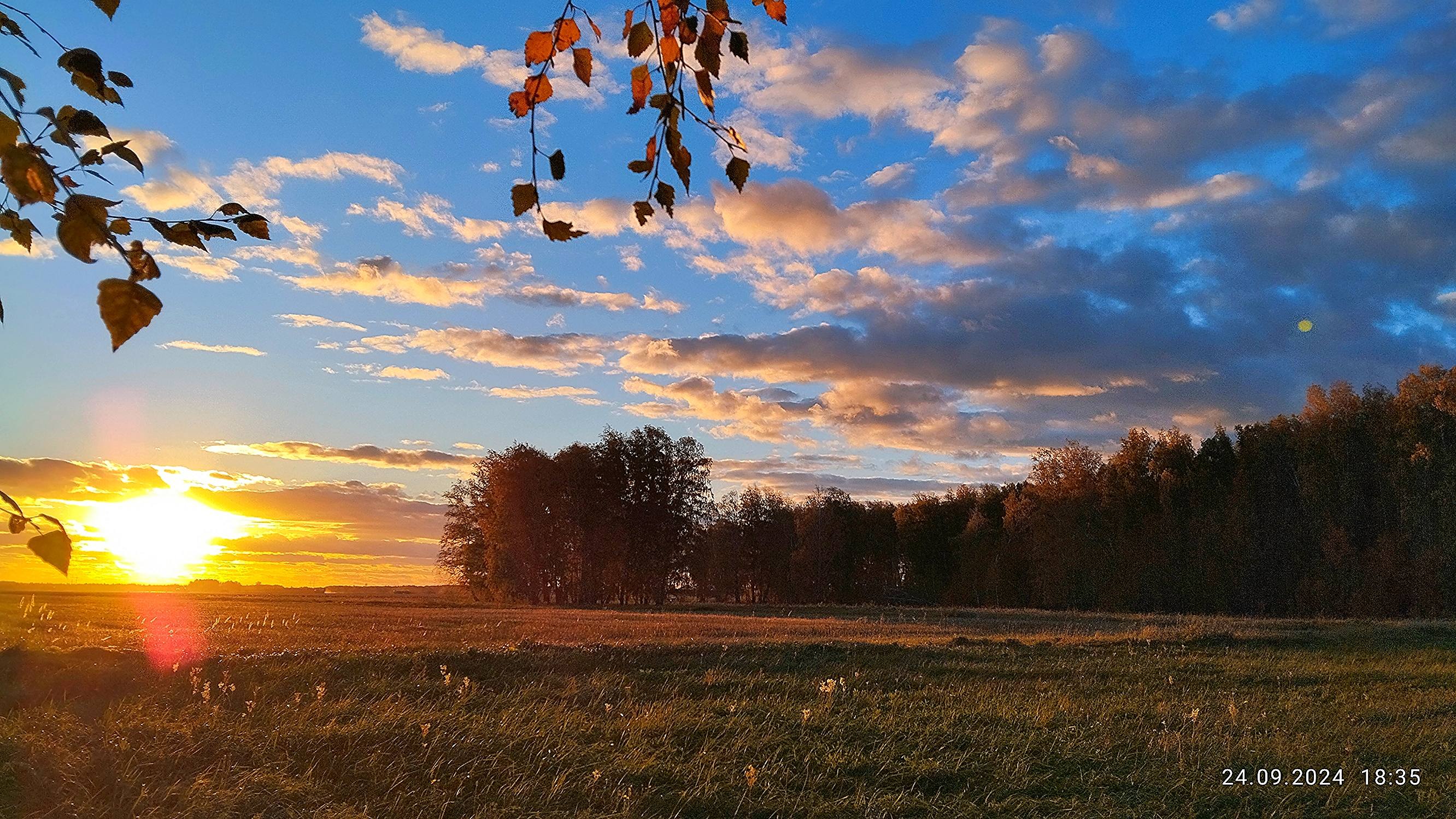 Мечтаю начать новую жизнь, без всего этого