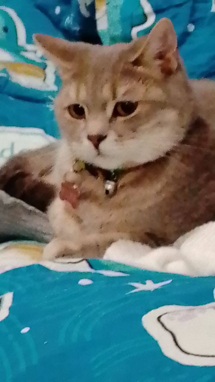 Мечтаю просто жить..