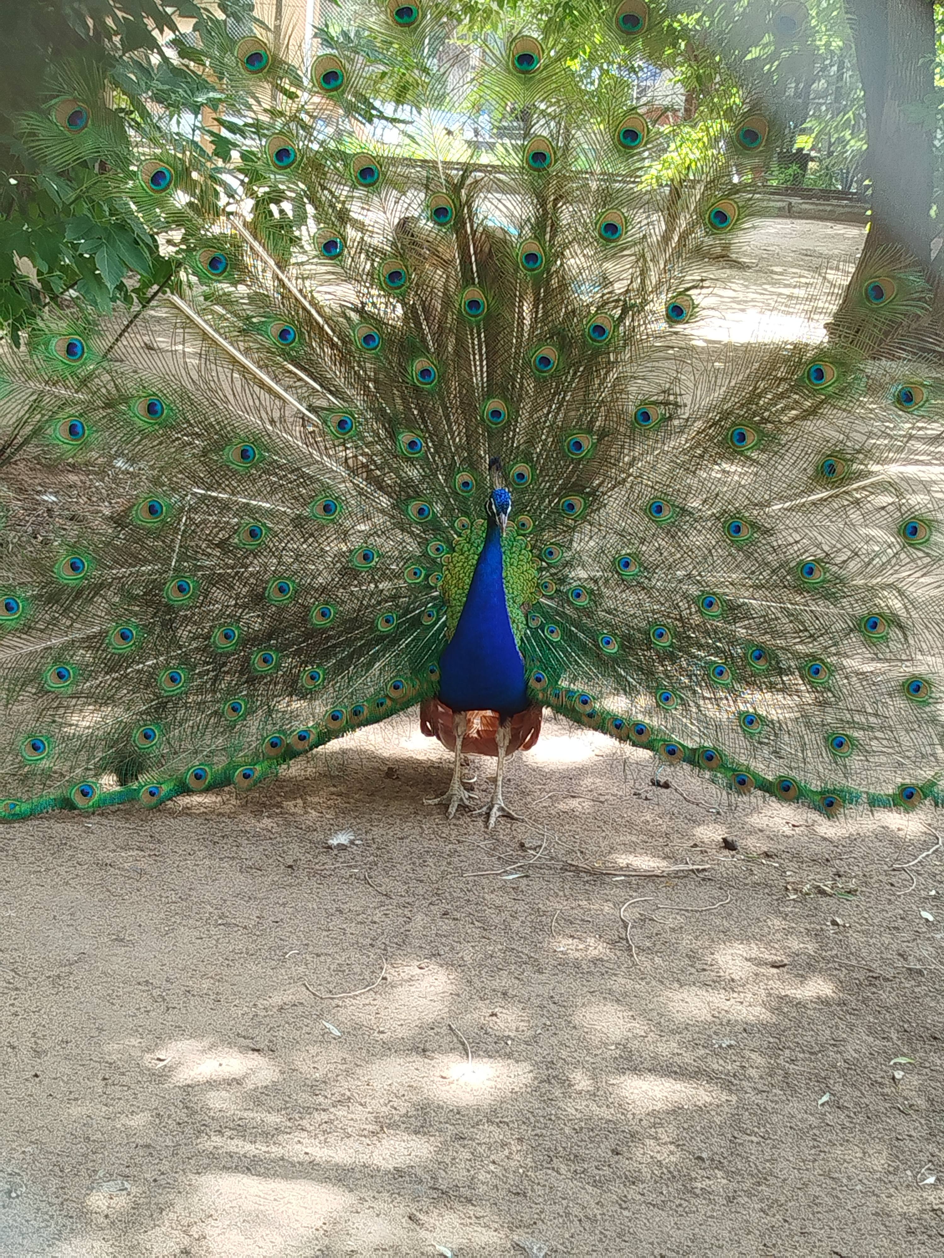 Мечтаю закрытии кредитов.