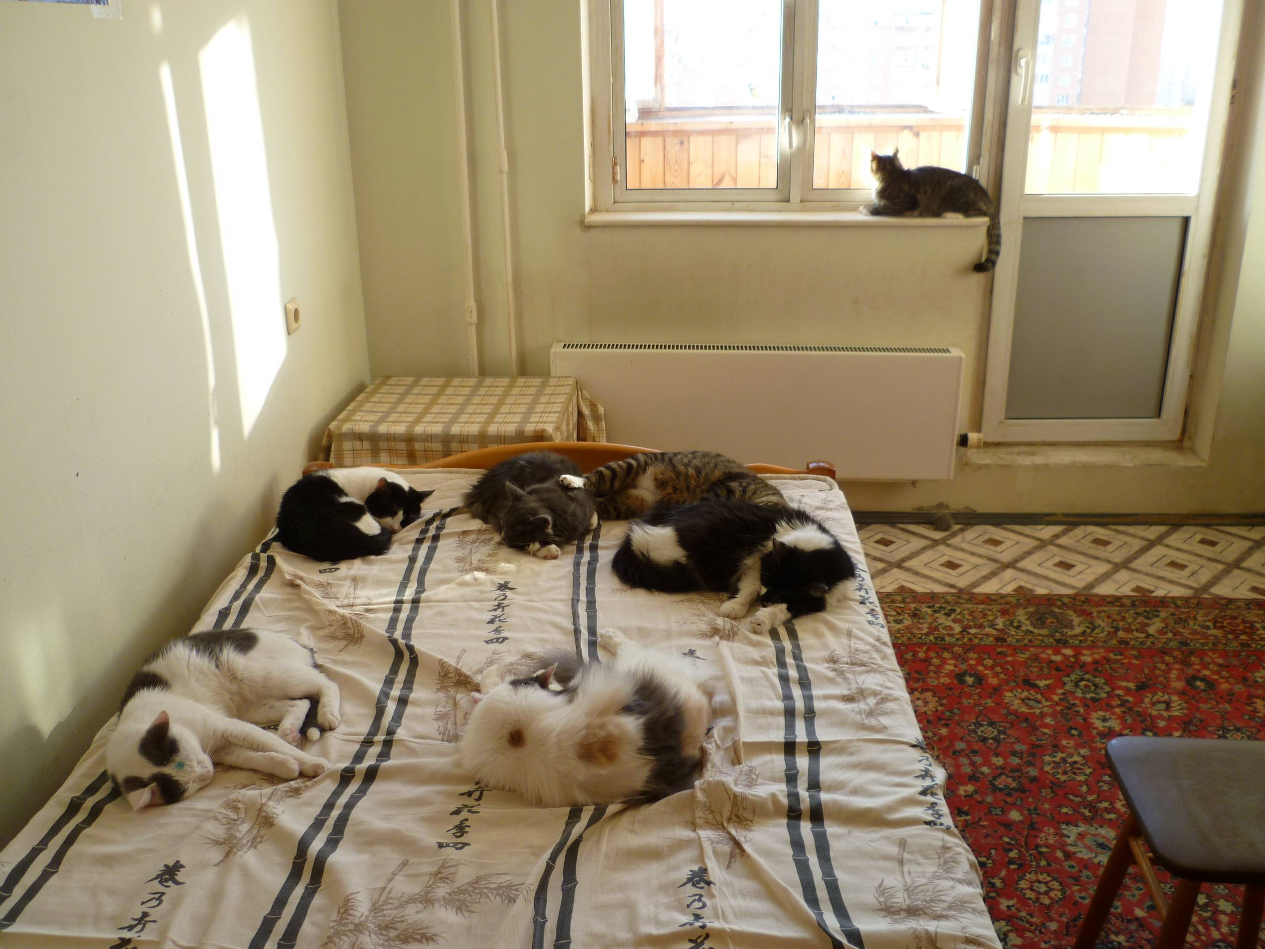 Осталась только надежда