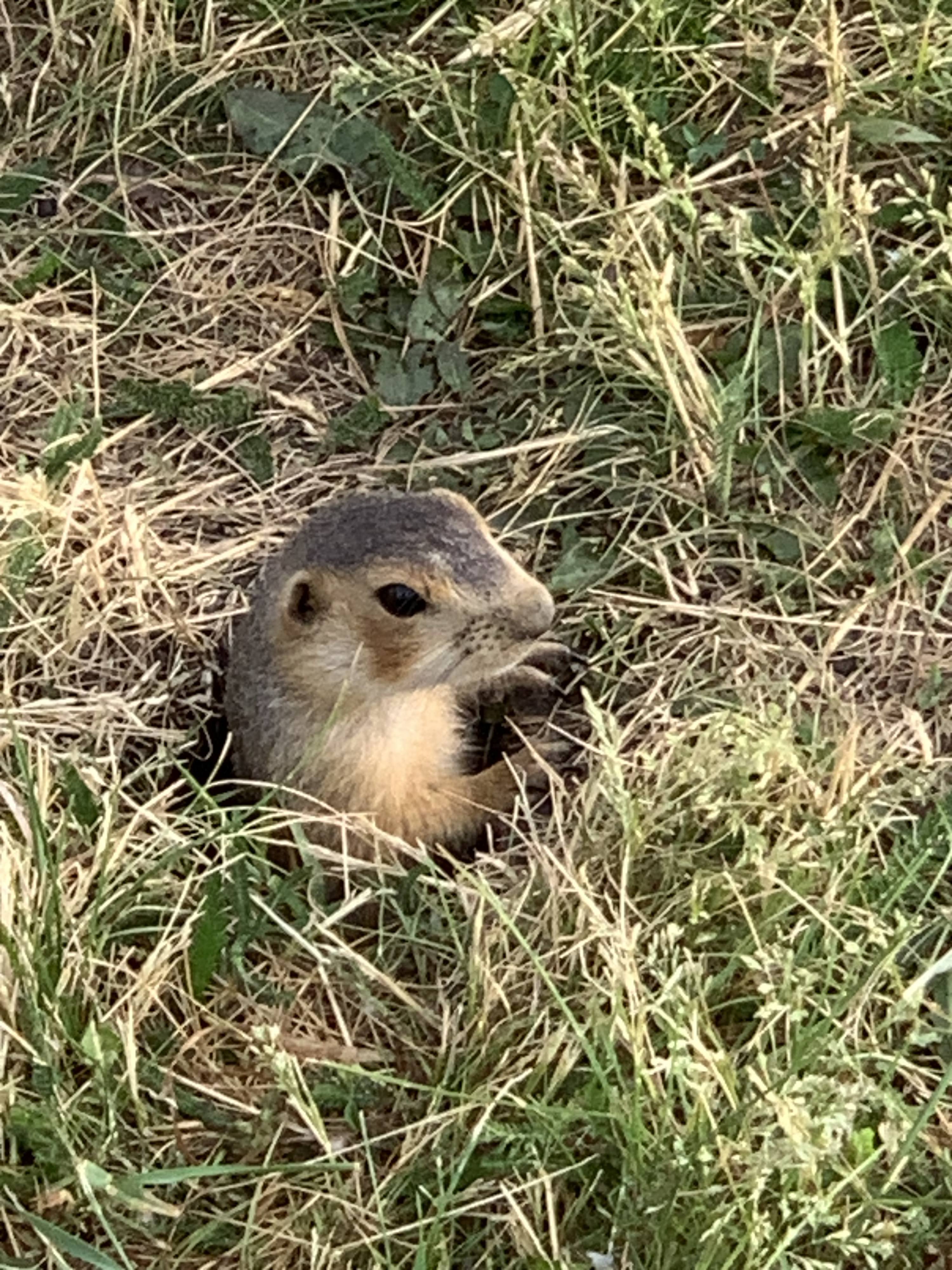 Трудная жизненная ситуация из которой пытаюсь