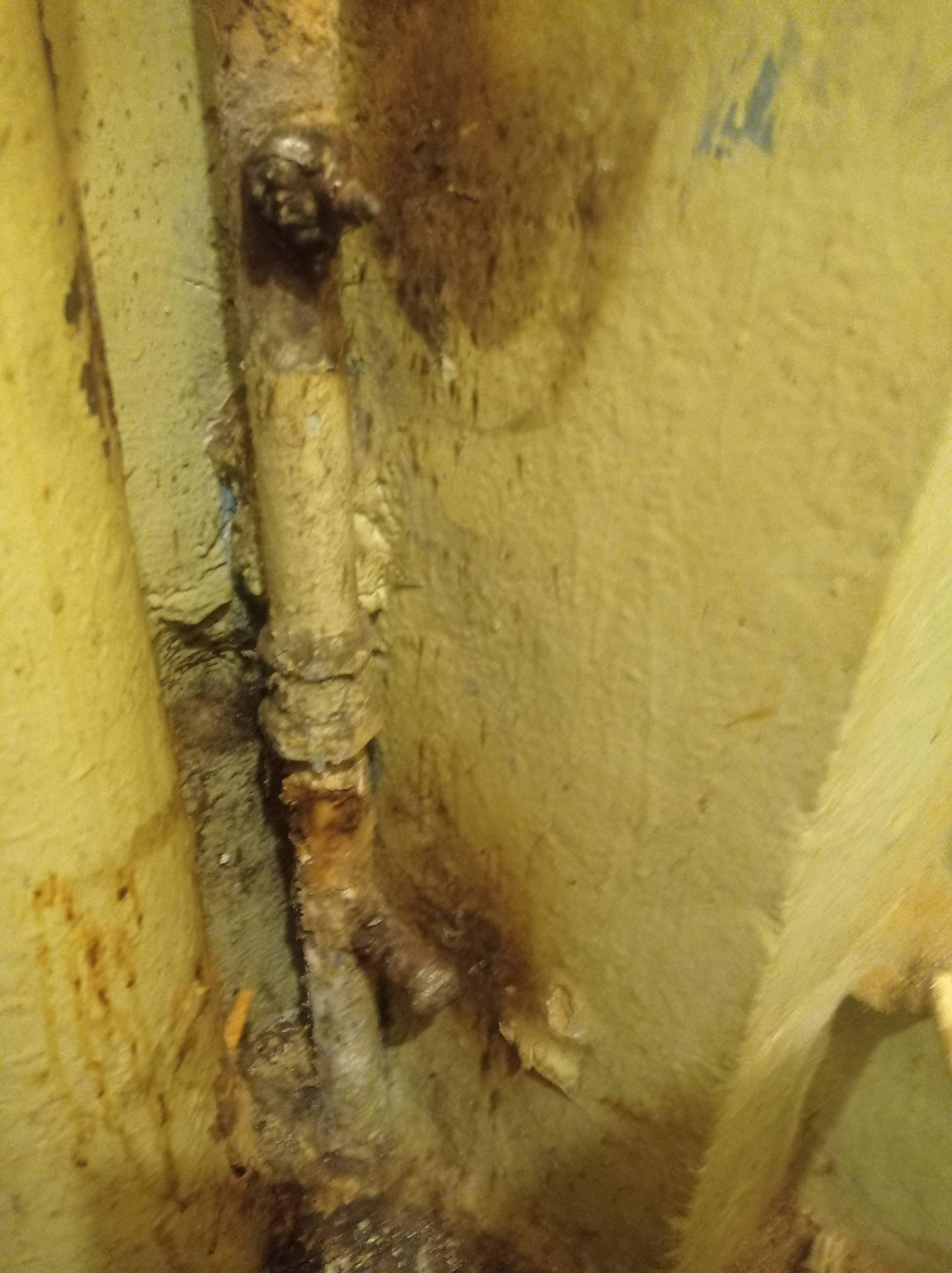 Поменять гнилые трубы и купить Газовую колонку