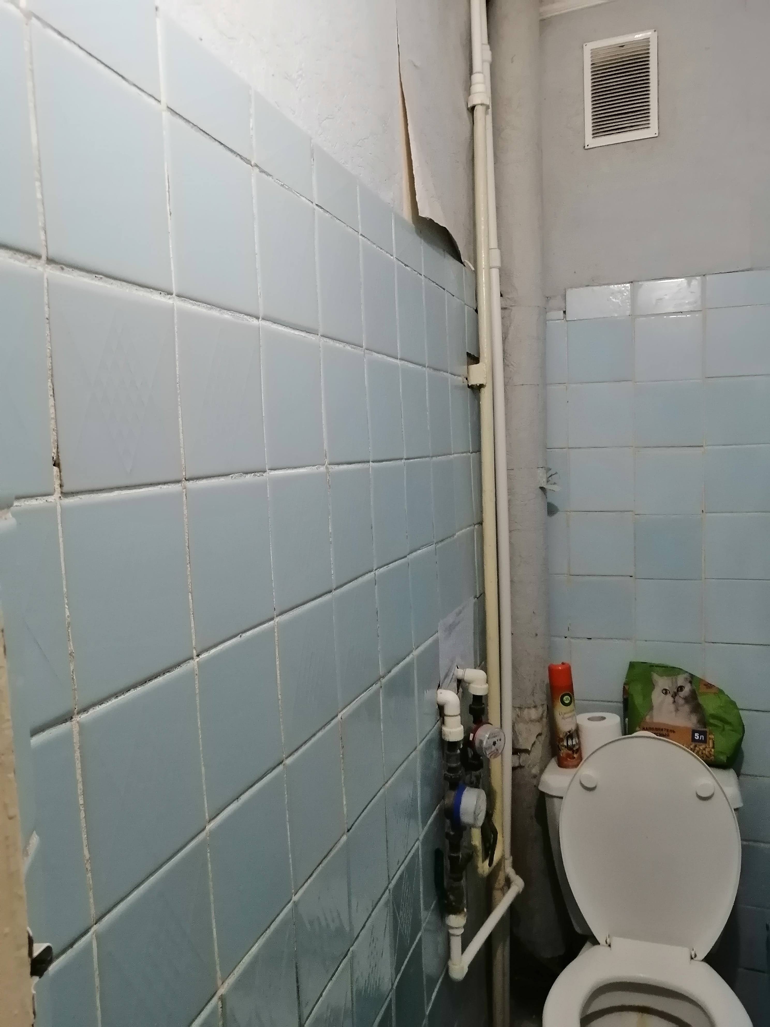 Мечтаю сделать ремонт в ванной и туалете.